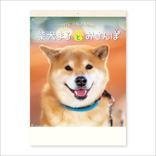 NK35 New Japan Calendar 2024 Calendar Wall Hanging Shiba Inu Maruto-san with Chronology