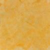 Water-Based Concrete Stain Walttools 1 QUART Pro-Grade Eco-Friendly (Coronado)