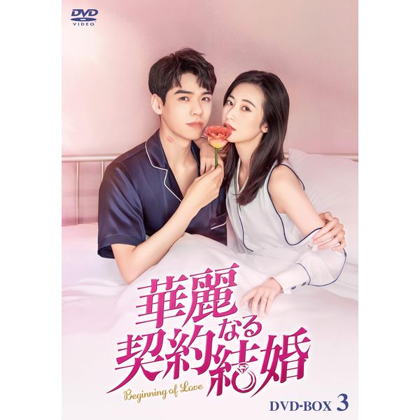 華麗なる契約結婚 DVD-BOX3 [DVD]