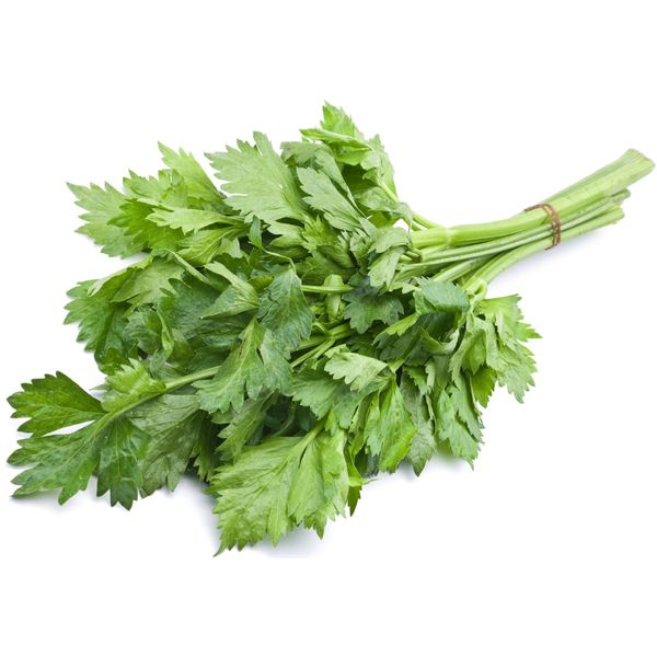 Viridis Hortus - Celery Leaf 5000 (1.56g's) Vegetable Seeds (Also know as Chinese Celery, French Celery)