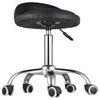 Adjustable Height Hydraulic Rolling Swivel Salon Stool Chair with Backrest Black