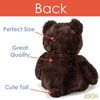 Big Teddy Bear - Dark Brown