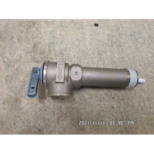 PROSELECT 3/4 in. Extended Shank for Temperature and Pressure Relief Valve NOB