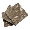 Fossil Brown 4x4 Polished Marble Floor Wall Tile Kitchen - Drink Coaster