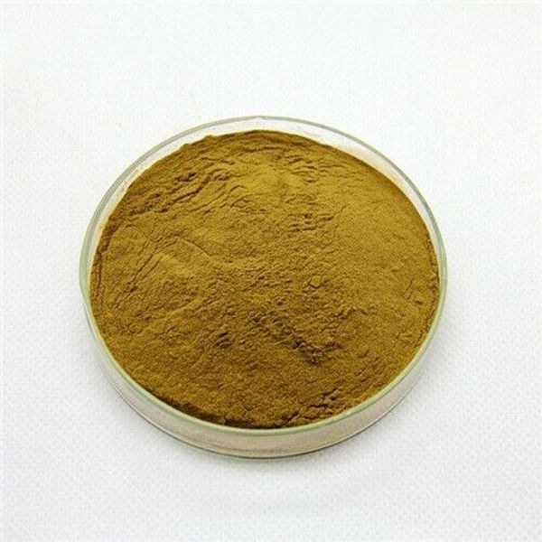 Cissus Quadrangularis Extract Powder 10:1 good quality 10000 Gram