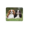 Cavalier King Charles Spaniels Mouse Mat Pad - Dog Puppy Computer #15816