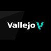 Vallejo Model Acrylic Color 200 ml Stone Textures - Dark Earth