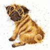 Bothy Threads Cross Stitch Kit - Wrendale Designs - Pug