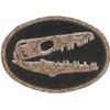 Klicnow Fossil Embroidered Patch 7 X 5 CM