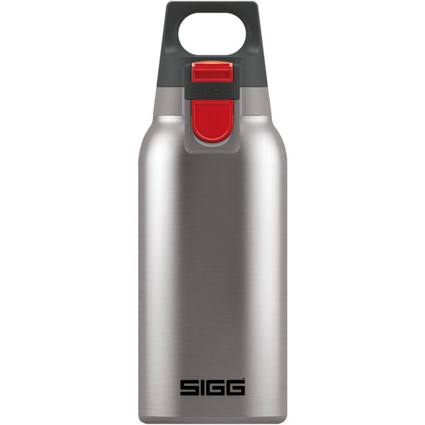 SIGG - Insulated Water Bottle - Thermo Flask Hot & Cold One Silver with Tea Infuser - Leakproof - BPA Free - Stainless Steel - 10 Oz