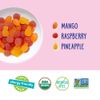 YumEarth Organic Assorted Tropical Fruit Snacks 35 Pack Allergy Friendly 0.7oz