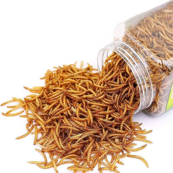 Reptile Food Dried Mealworms Pet Worms Food for Bearded Dragon, Lizard, Turtles, Chameleon, Monitor, Frog, Sugar Glider, Chickens, Birds, Hamsters and Hedgehogs (3.5 OZ)