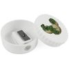 'Hatching Dinosaurs' Compact Pencil Sharpener (PS00024568)