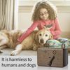 Anti Barking Control Device Ultrasonic Dog Barking Deterrent Effective Dog Train
