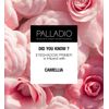 Palladio Eyeshadow Primer, Ensures Maximum Shadow Vibrancy All Day Long
