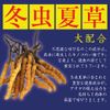 Rising VIAUP Co., Ltd. (RSG-018)