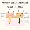 HERBIVORE Botanicals AQUARIUS BHA + Blue Tansy Clarity Cleanser