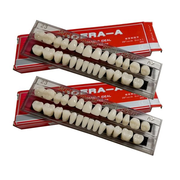 56 Pcs False Teeth Dental Complete Acrylic Resin Denture Teeth, 2 Set Whole Teeth Synthetic Polymer Denture Tooth, 23 Shade A2 Upper + Lower Dental Materials for Replacement, DIY, or Halloween (23 A2)