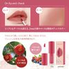Cathy Doll Nude Matte Tint (03 Maroon Pink) Japanese Ingredient Label, Japanese Ingredients