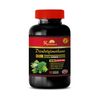 dim supplement estrogen support - DIINDOLYLMETHANE - estrogen blocker for men 1B