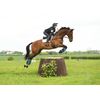 equilibrium Tri-Zone Impact Sports Cross County Boots (Hind)