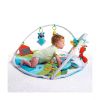 Tiny Love Dynamic Gymini Meadow Days
