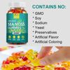 Organic Irish Sea Moss Gummies - 2000mg | 300 Gummies | Immune & Thyroid Support