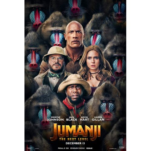Movie Poster JUMANJI THE NEXT LEVEL 2 Sided ORIGINAL Advance 27x40 KEVIN HART DWAYNE JOHNSON