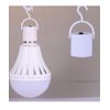 12W Rechargeable LED Bulbs 4 Pack