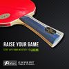 Palio Legend 2.0 Table Tennis Bat & Case - ITTF Approved - Flared - Advanced Ping Pong, Racket, Paddle