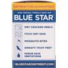 Blue Star Ointment 2 Oz, 2 Count