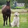 Cowboy Magic Rosewater Shampoo + Conditioner 16 Ounce Each