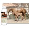 Equine Detangler Gel, 3 oz