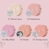 Flower knows Swan Ballet Series Blush Compact (04 Peluche)