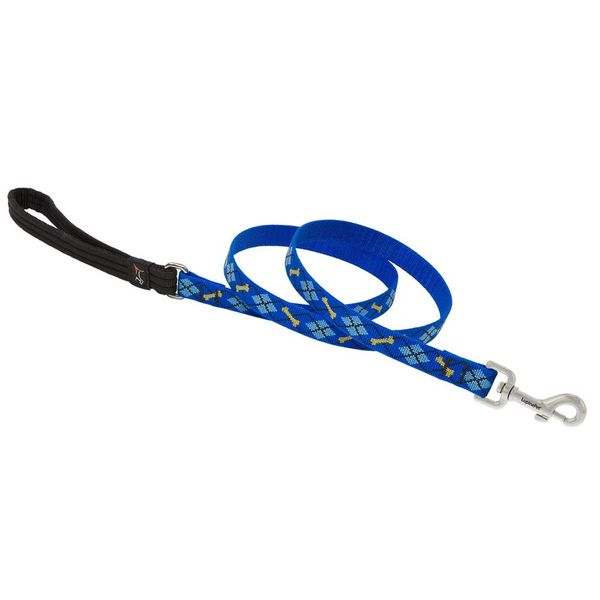 Lupinepet Originals 3/4" Dapper Dog 6-Foot Padded Handle Leash for Medium and Larger Dogs