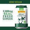 Reed's Zero Sugar Real Ginger Ale, All-Natural Classic Ginger Ale Made with Real Ginger (24- 12oz cans)