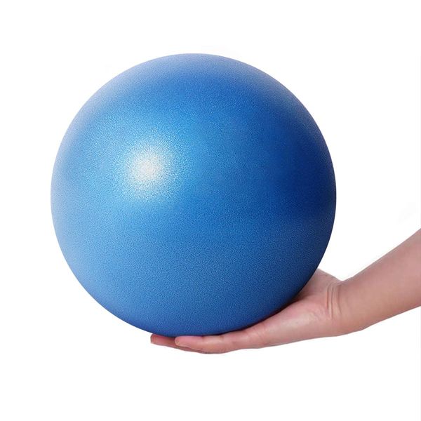 Fresion 25cm Soft Pilates Ball/Small Exercise Ball - Mini Yoga Ball, Core Ball, Barre Ball, Small Workout Ball,Gym Ball for Physical Therapy, Balance, Stability, Stretching