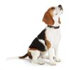 Hunter - Collar Vario Basic aluminum resealable XL 45-65 cm neck brown