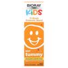 Kids, NDF Tummy, 11-Strain Probiotic Blend, Raspberry, 2 fl oz (60 ml)