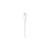 Apple Lightning to USB Cable – White