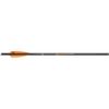 MISSION Crossbow Bolt 19 in 250 gr. 3 pk.