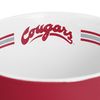 logobrands Washington State 15oz Stripe Mug