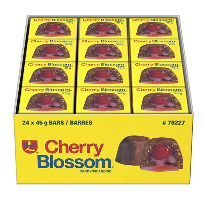 Hershey's Chocolate Candy Cherry Blossoms, 24 x 45 Grams