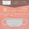 Iris Ohyama PK-BFC30MRG Non-Woven Mask, Pleated Mask, Individually Packaged, Color Mask, Regular Size, Beautiful Fit Mask, Autumn Mask, Teak Mask, Blood Colored Mask, 30 Pieces, Rose Gray