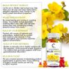 3X Mullein Leaf Gummies 2000mg Support Respiratory System Health Lung Cleansing