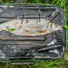 ZECK - U-float for dead bait fish - Deadbait U-float - 10g