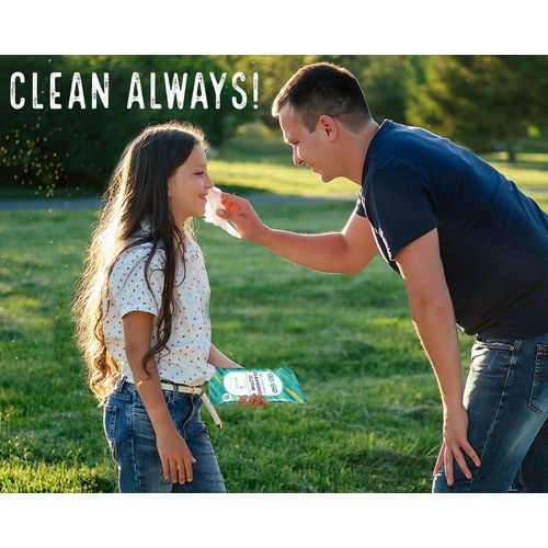 Go on the Go Flushable Wet Wipes for Travel - Travel Flushable Wipes, Biodegradable, Alcohol-Free, with Soothing Aloe & Calendula - Toilet Wipes Flushable - 12 Packs of 15 Count Each (180 Wipes Total)
