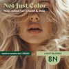 Herbatint Herbatint Permanent Light Blonde (N), 120 ml (parallel import goods)