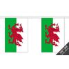 Wales Bunting (30 flags) 9m