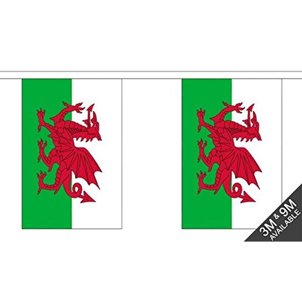 Wales Bunting (30 flags) 9m